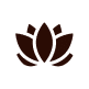 Wellness Assessment