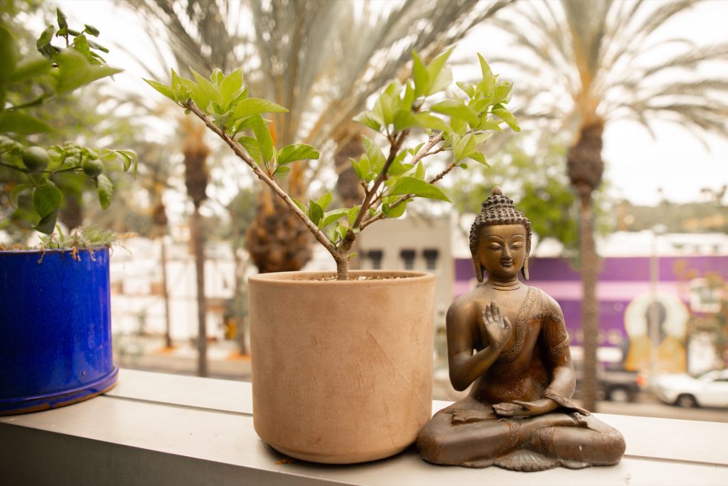Bronze Buddha and a young plant on the windowsill of the Word of Mouth Sanctuary